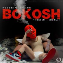 دانلود آهنگ جدید حسین اسنیم به نام بکش